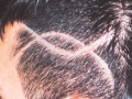 hair-tattoo-01